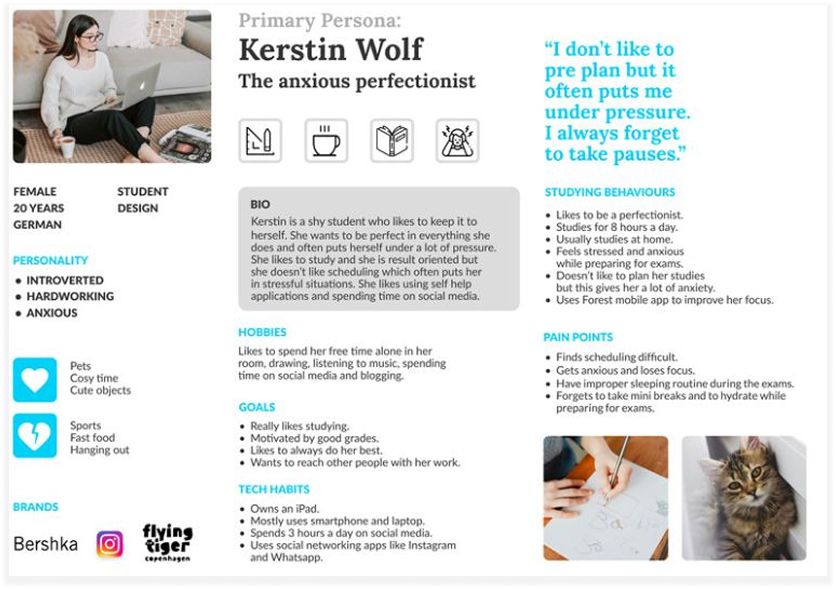 Persona: Kerstin Wolf, the anxious perfectionist — goals, frustrations, and behaviours