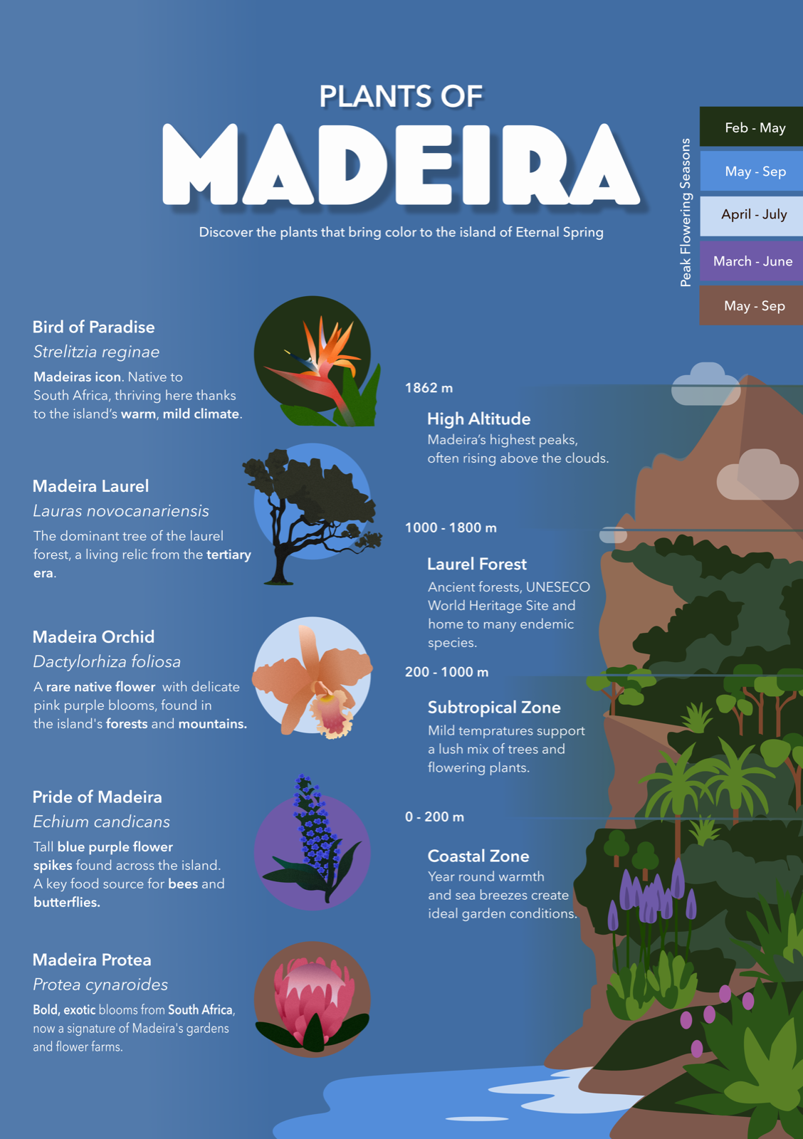 Madeira Info App screens